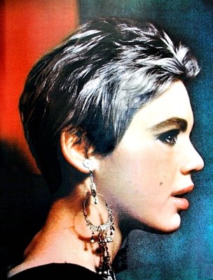 Edie Sedgwick with silver hair.