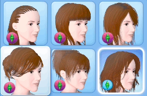 Sims 2 Hair Expansion Pack