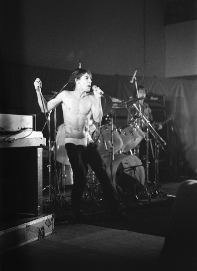 Iggy Pop 1979. Photo by Tim Duncan.