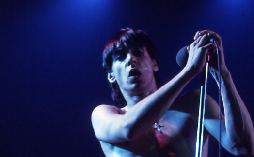 Iggy Pop, at a Montreal concert in 1973. Photo by Jean-Luc Ourlin.